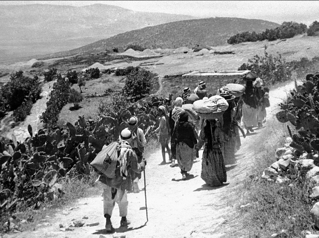 صورة أرشيفية 5