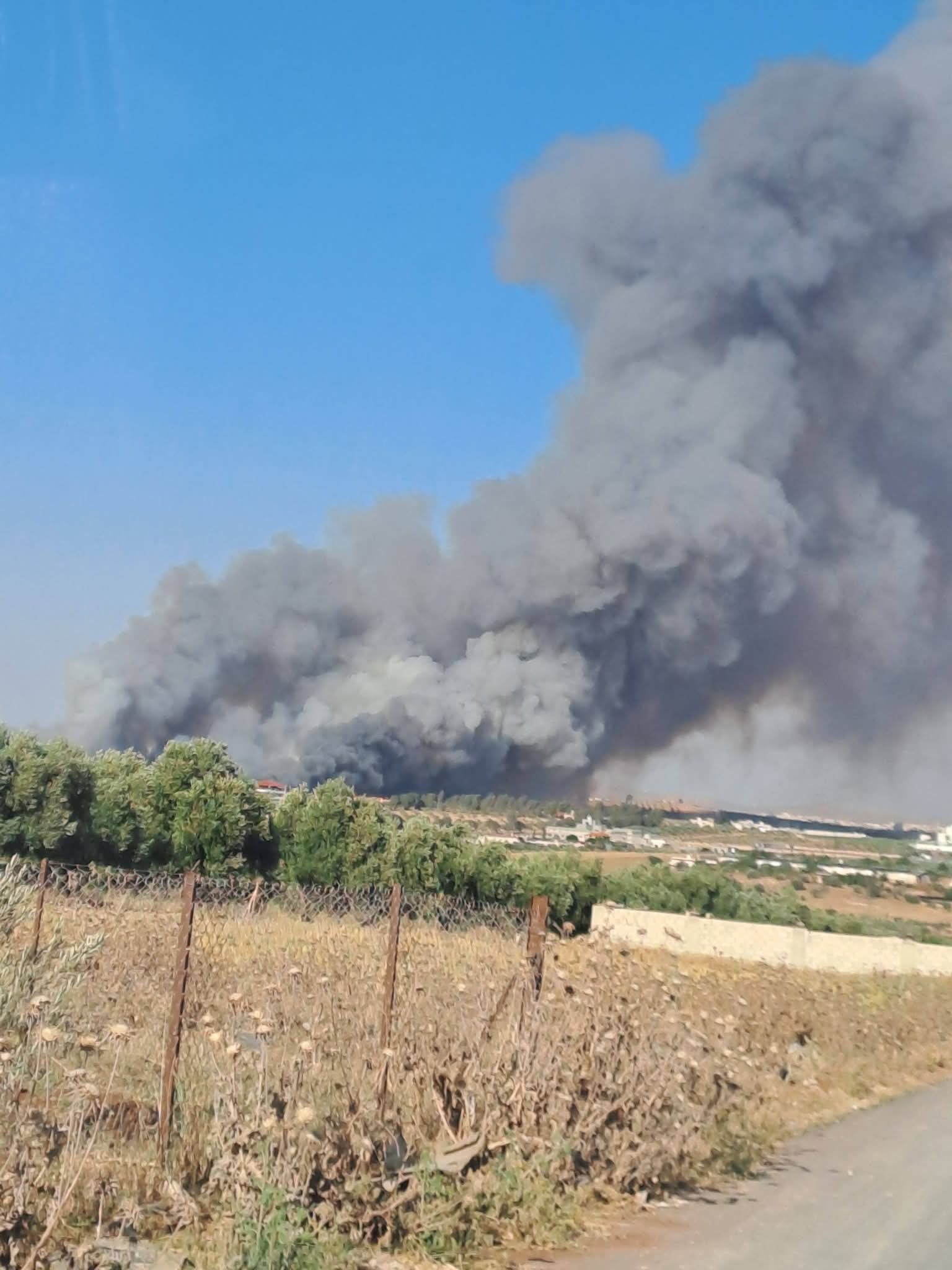الذهب الأصفر الذي صار رماداً