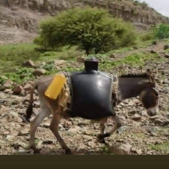 السقا - صورة 1
