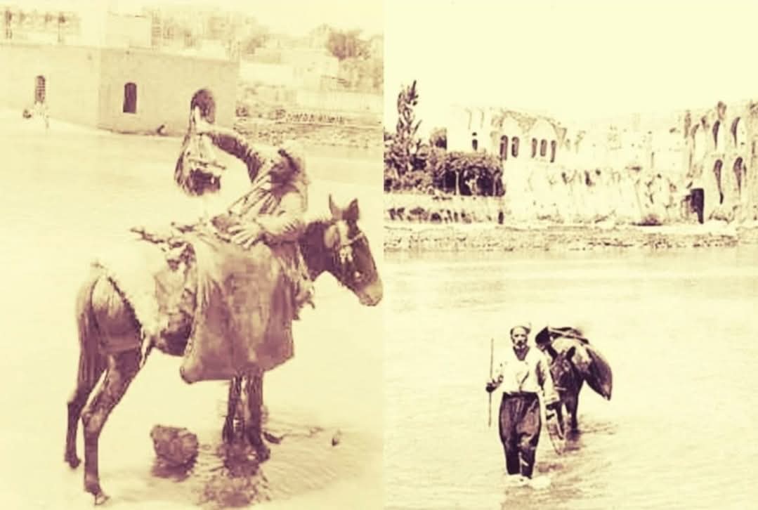 السقا - صورة 2