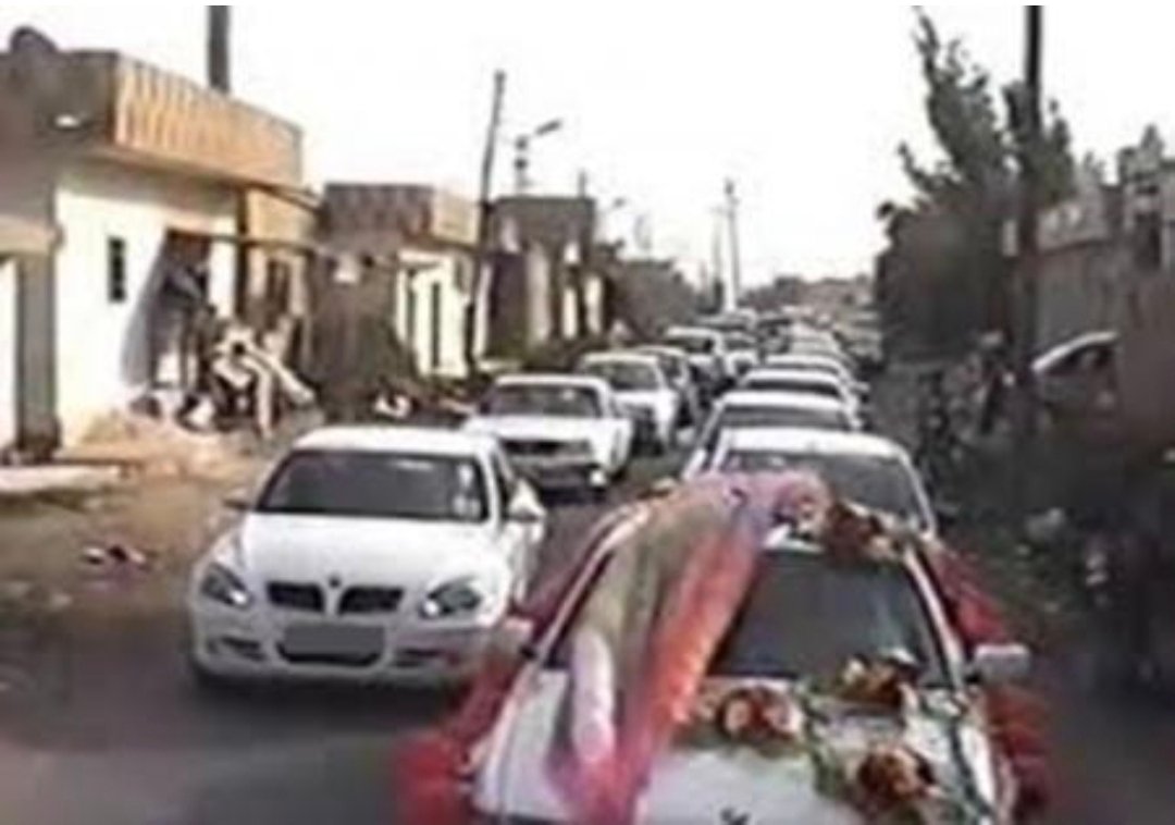 الفاردة : موكب الفرح والزغاريد في عرسنا الأردني
