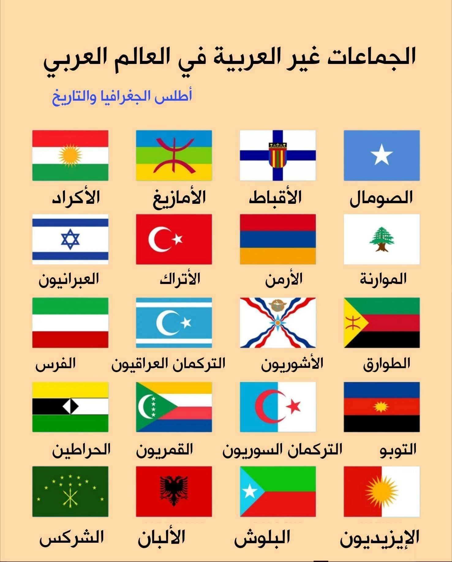القوميات غير العربية في العالم العربي