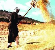 بيادر الخير في التراث الأردني 7