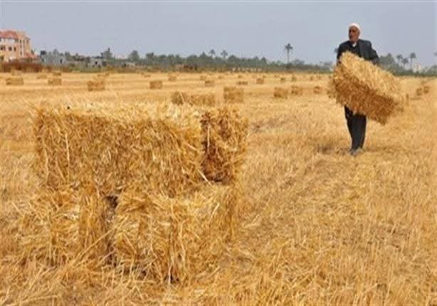 بيادر الخير في التراث الأردني 8
