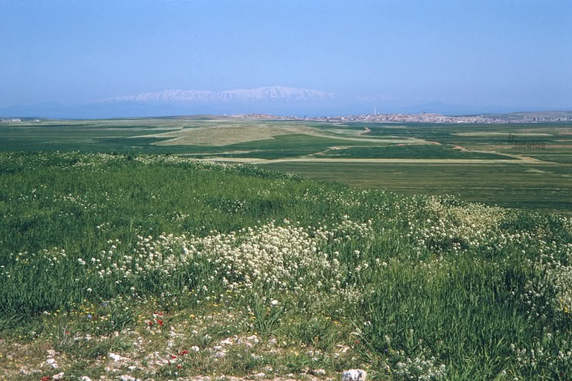 سحر التاريخ وهيبة السلم الأهلي