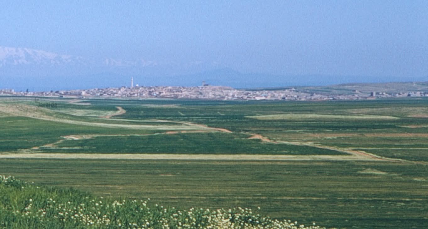 تل الرميث - صورة 2