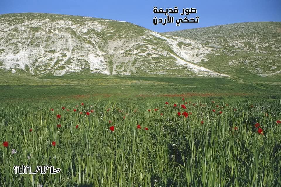 تل الرميث - صورة 4