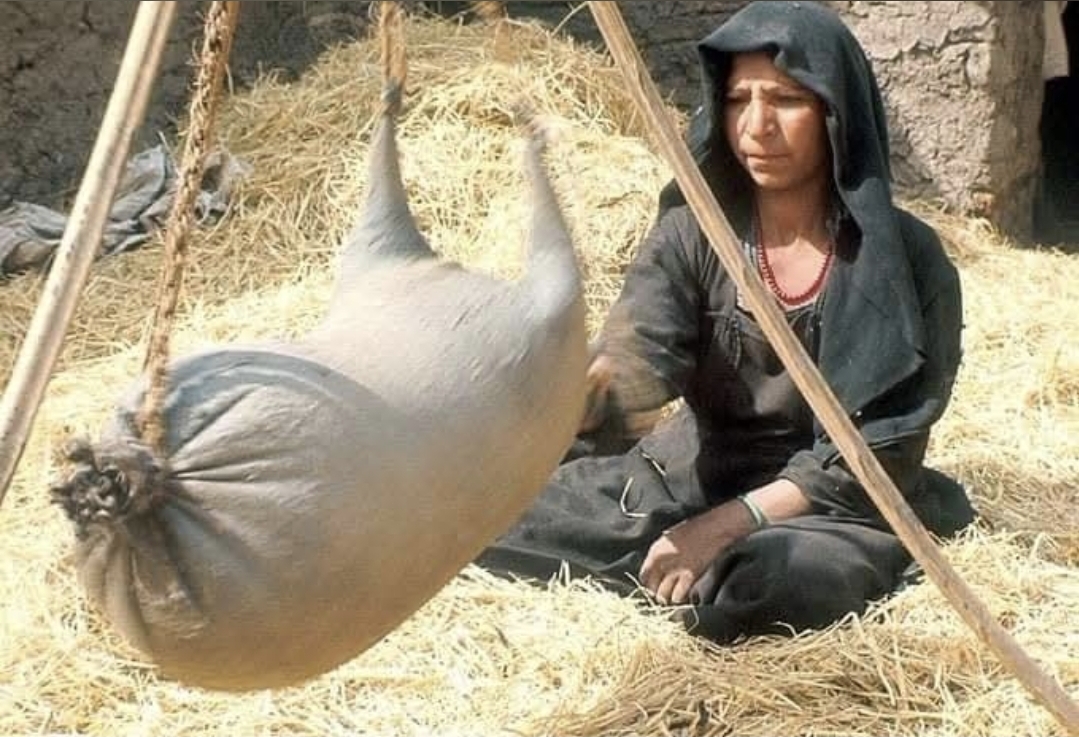 سقاية البوادي والقرى : القربة الجلدية أيقونة الحياة في الموروث الأردني والعربي