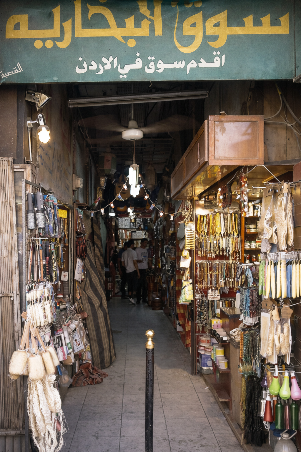 الجذور والنشأة