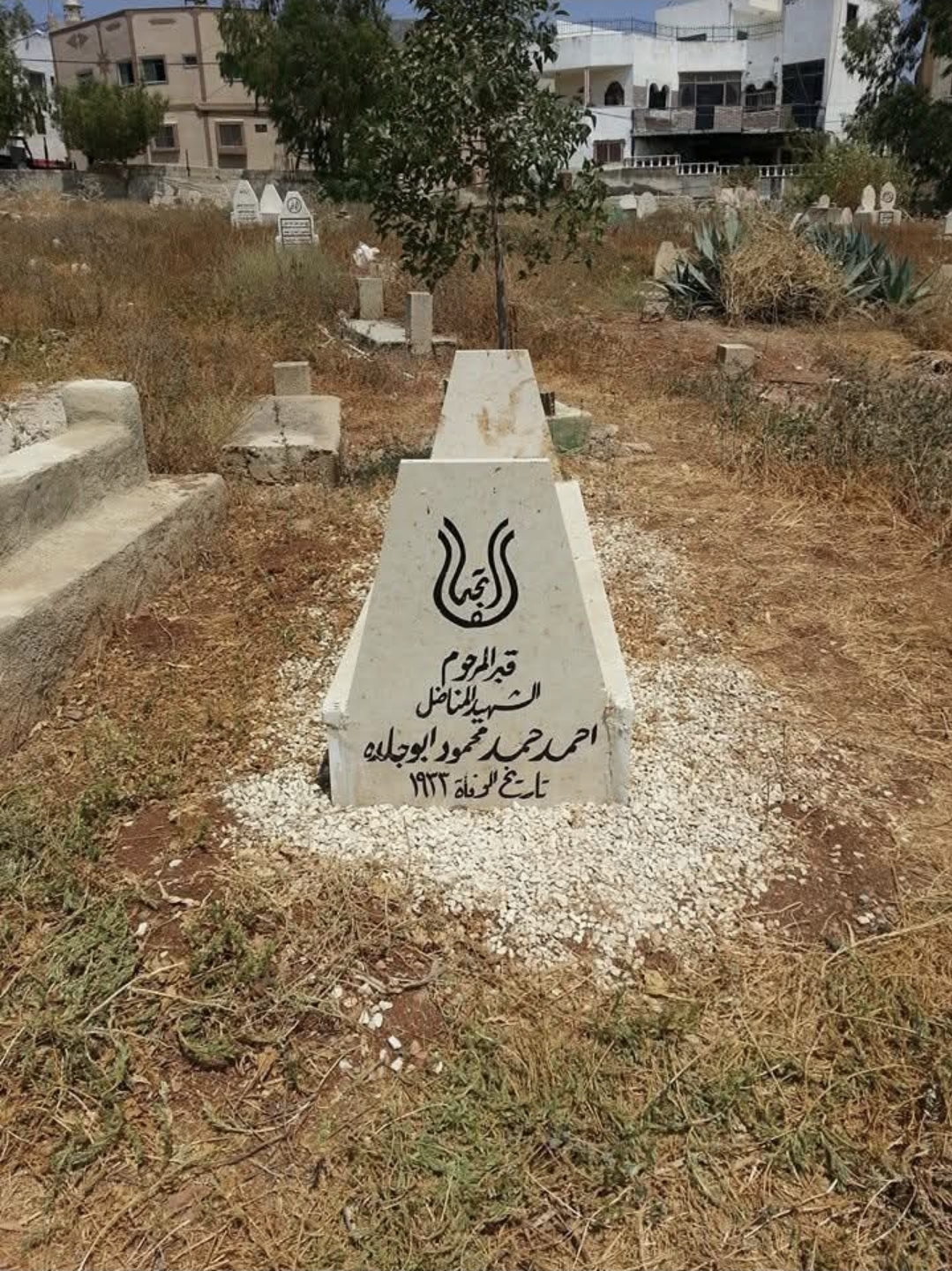 ضريح الشهيد أحمد أبو جلدة: شاهدٌ حي على مسيرة التضحية في طمون