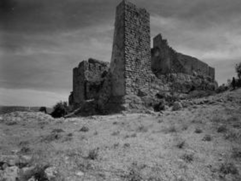 عبقرية الجغرافيا وعظمة الإدارة ... الأردن في كنف الدولة المملوكية ( 1250 – 1516 م )