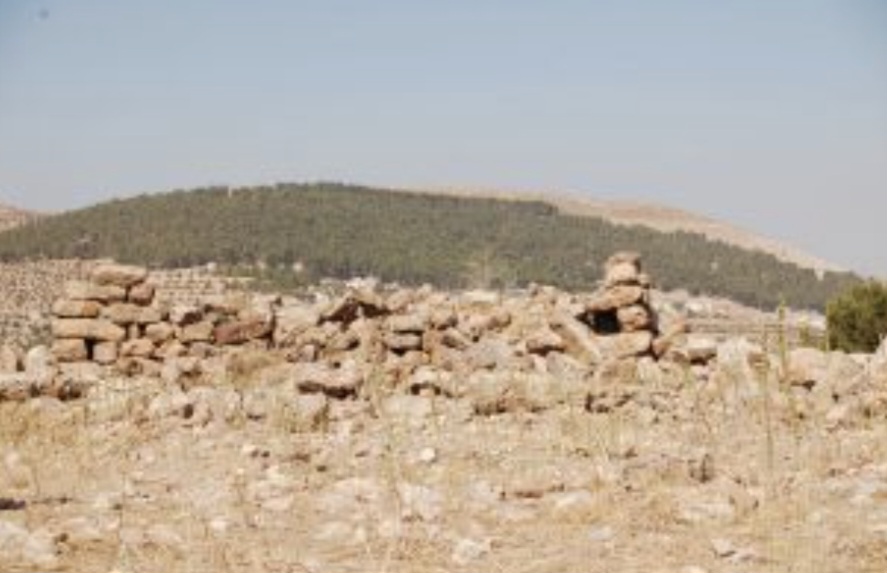 عين الباشا ... ذاكرة البلقاء التي لا تشيخ   ​
