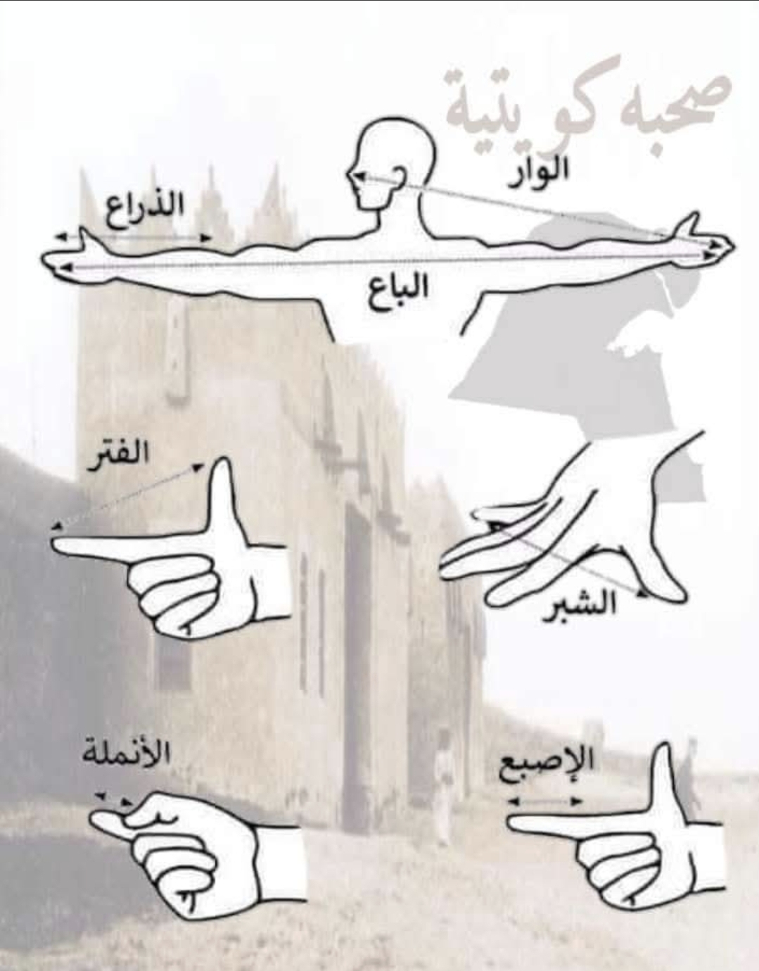هندسة الأجساد وذاكرة الحضارات : حين كانت أطراف الإنسان مساطر للكون والطب والشرع